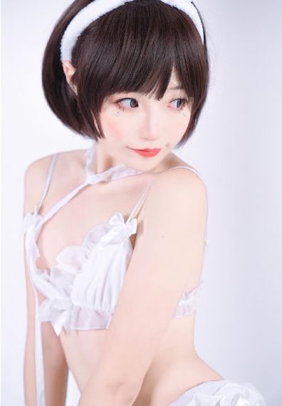 芈月传电视剧免费观看全集