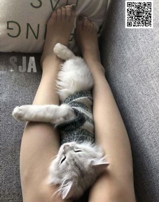 全世界都在等你们分手电视剧