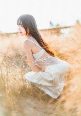 珠帘玉幕电视剧免费在线观看