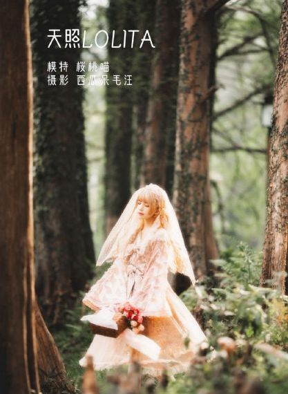 电影免费观看高清完整