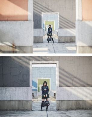枫与钤
