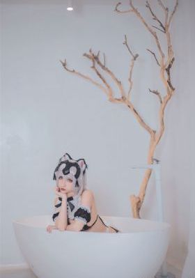 家有一老电视剧35集免费
