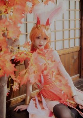如懿传哪里可以看完整电视剧